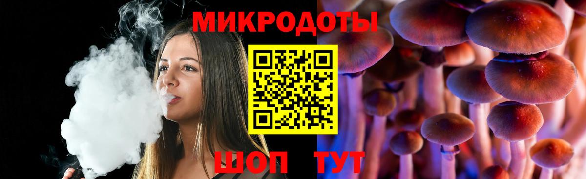 Псилоцибиновые грибы мицелий Кингисепп